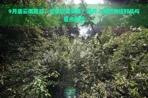 9月底云南旅游：淡季还是深季？避开人潮的绝佳时机与景点推荐