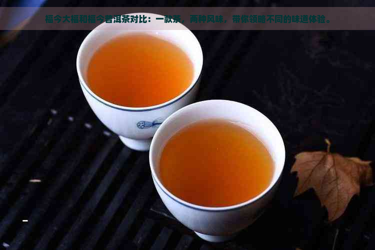 福今大福和福今普洱茶对比：一款茶，两种风味，带你领略不同的味道体验。