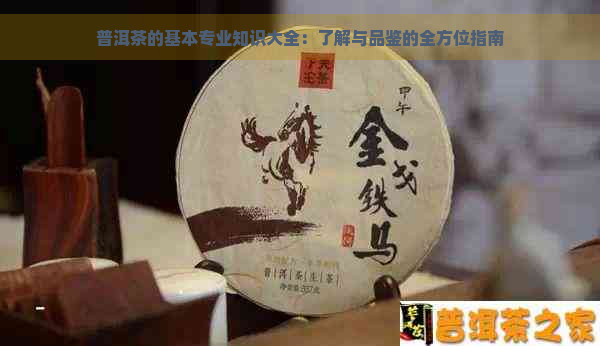 普洱茶的基本专业知识大全：了解与品鉴的全方位指南