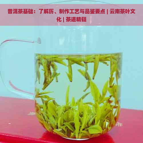 普洱茶基础：了解历、制作工艺与品鉴要点 | 云南茶叶文化 | 茶道精髓