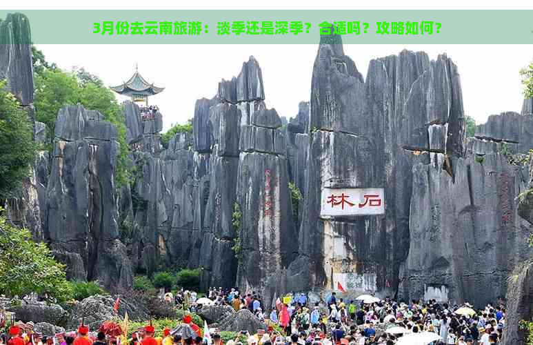 3月份去云南旅游：淡季还是深季？合适吗？攻略如何？