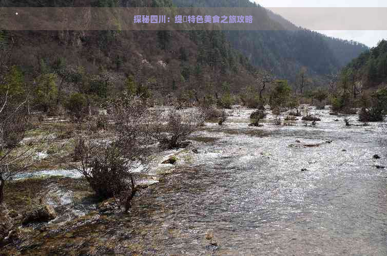 探秘四川：缇庨特色美食之旅攻略