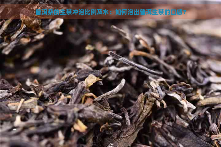 普洱茶的生茶冲泡比例及水：如何泡出普洱生茶的口感？