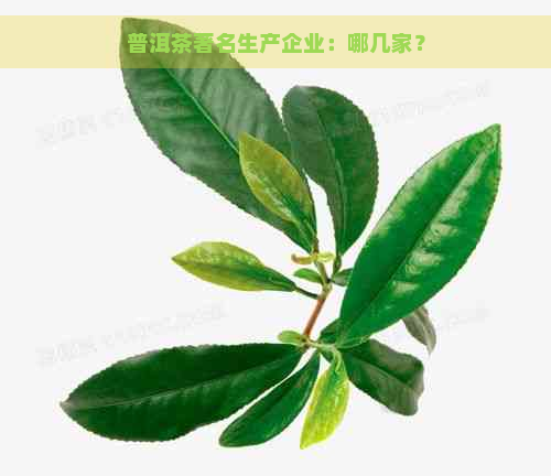 普洱茶著名生产企业：哪几家？