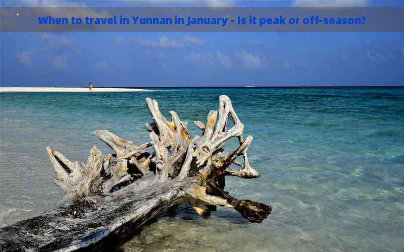 When to travel in Yunnan in January - Is it peak or off-season?