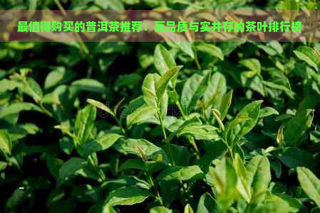 最值得购买的普洱茶推荐：高品质与实并存的茶叶排行榜