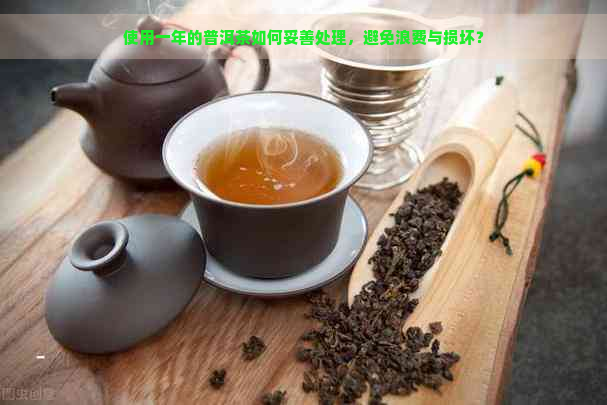 使用一年的普洱茶如何妥善处理，避免浪费与损坏？