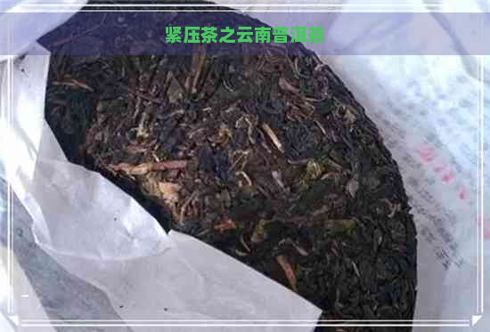 紧压茶之云南普洱茶