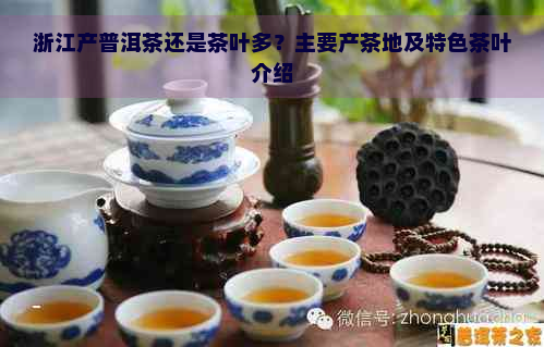 浙江产普洱茶还是茶叶多？主要产茶地及特色茶叶介绍