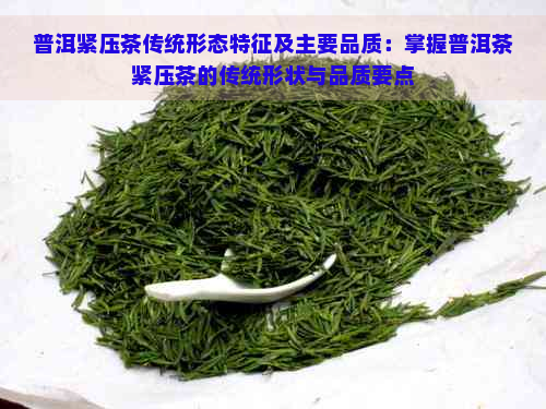 普洱紧压茶传统形态特征及主要品质：掌握普洱茶紧压茶的传统形状与品质要点