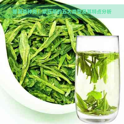 普洱茶种类：紧压茶的五大类型及其特点分析