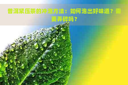 普洱紧压茶的冲泡方法：如何泡出好味道？需要弄碎吗？