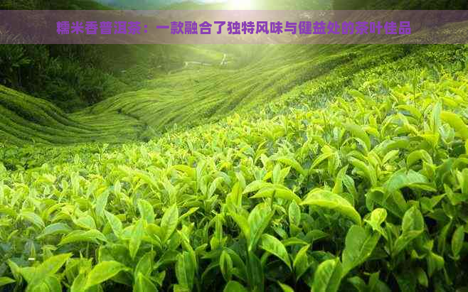 糯米香普洱茶：一款融合了独特风味与健益处的茶叶佳品