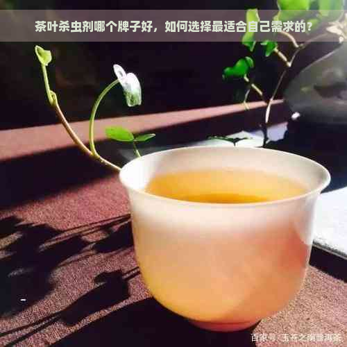 茶叶杀虫剂哪个牌子好，如何选择最适合自己需求的？