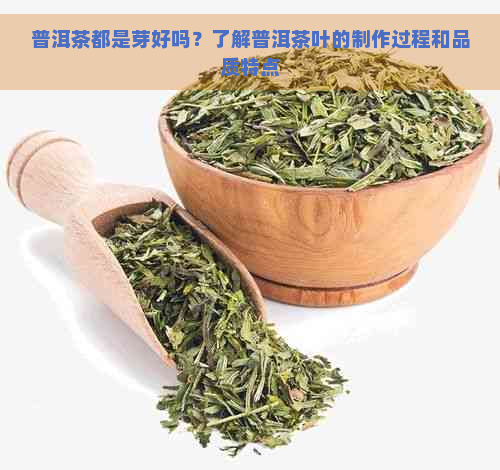 普洱茶都是芽好吗？了解普洱茶叶的制作过程和品质特点