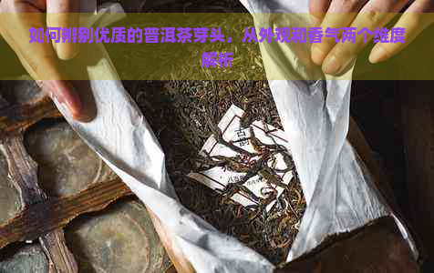 如何辨别优质的普洱茶芽头，从外观和香气两个维度解析