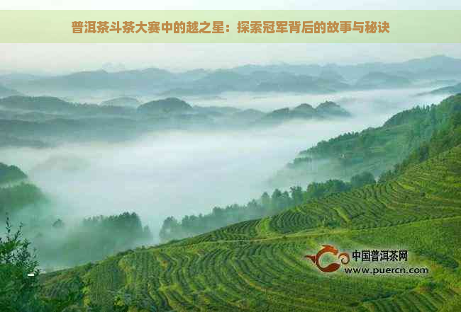 普洱茶斗茶大赛中的越之星：探索冠军背后的故事与秘诀