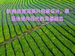 新 精选普洱茶叶包装设计，展现传统与现代的完美融合