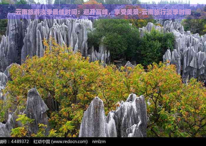 云南旅游淡季更佳时间：避开高峰，享受美景-云南旅行淡季时间