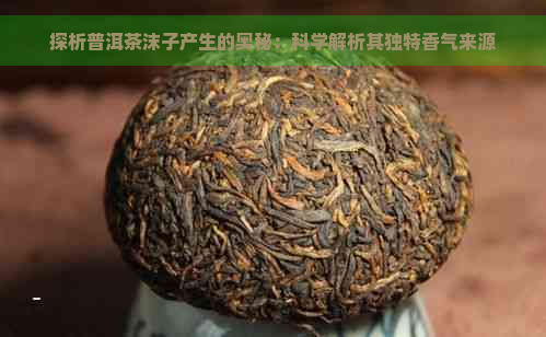 探析普洱茶沫子产生的奥秘：科学解析其独特香气来源