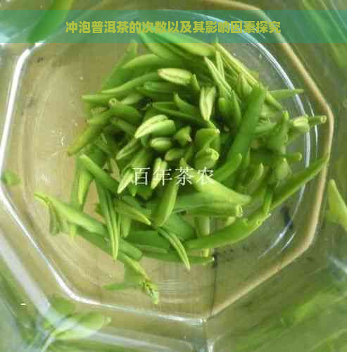 冲泡普洱茶的次数以及其影响因素探究