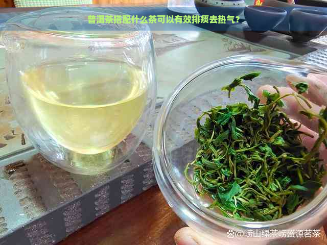 普洱茶搭配什么茶可以有效排痰去热气？