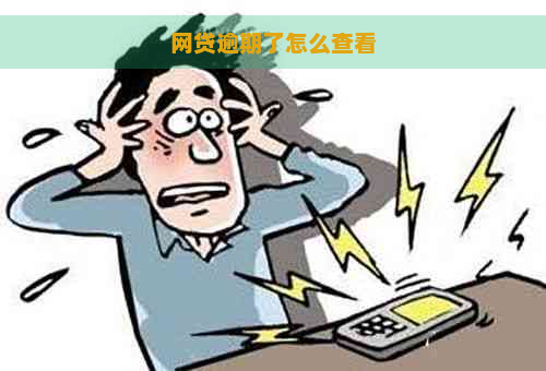 网贷逾期了怎么查看