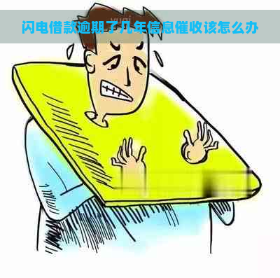 闪电借款逾期了几年信息该怎么办