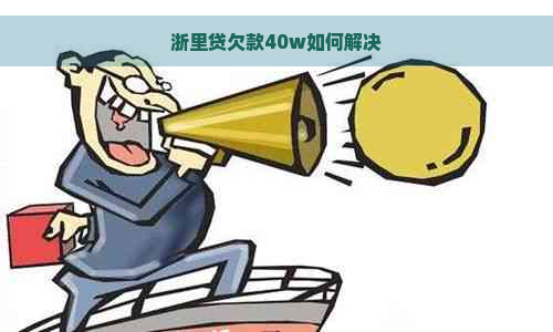 浙里贷欠款40w如何解决