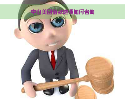 中山美团借款逾期如何咨询