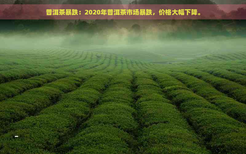 普洱茶暴跌：2020年普洱茶市场暴跌，价格大幅下降。