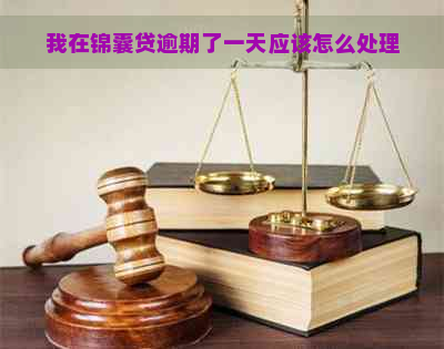 我在锦囊贷逾期了一天应该怎么处理