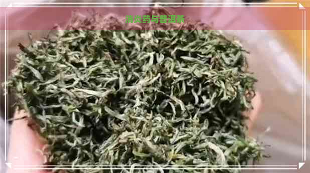 消炎药与普洱茶