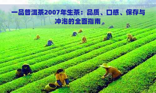 一品普洱茶2007年生茶：品质、口感、保存与冲泡的全面指南