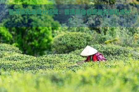 普洱茶元素成分组成：普洱茶含有哪些元素和成分？