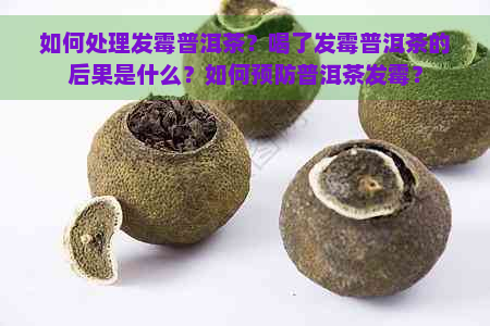 如何处理发霉普洱茶？喝了发霉普洱茶的后果是什么？如何预防普洱茶发霉？