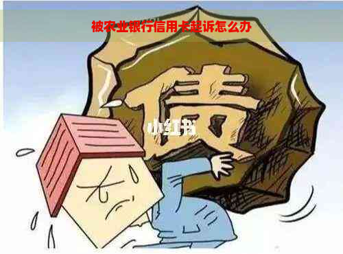 被农业银行信用卡起诉怎么办