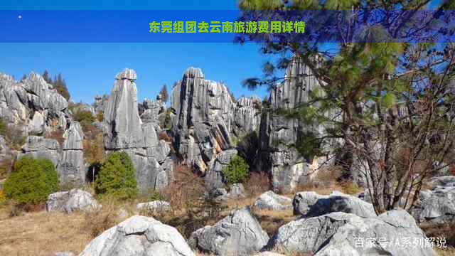 东莞组团去云南旅游费用详情