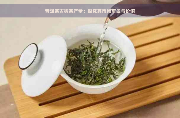 普洱茶古树茶产量：探究其市场前景与价值