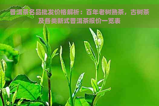 普洱茶名品批发价格解析：百年老树熟茶，古树茶及各类新式普洱茶报价一览表