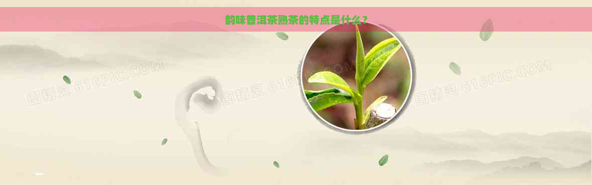 韵味普洱茶熟茶的特点是什么？