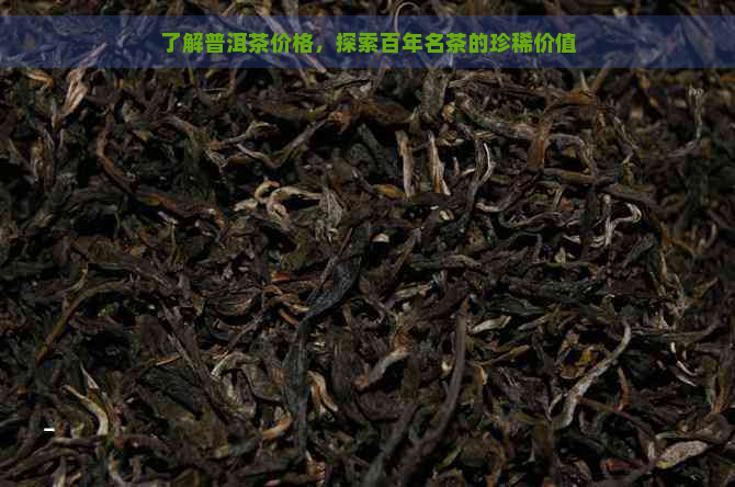 了解普洱茶价格，探索百年名茶的珍稀价值