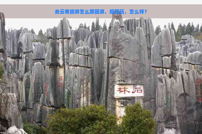 去云南旅游怎么跟团游，报团玩，怎么样？