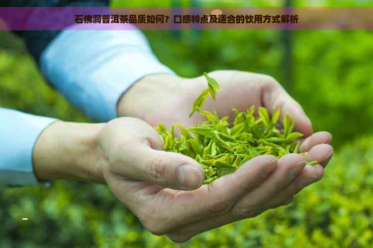 石佛洞普洱茶品质如何？口感特点及适合的饮用方式解析