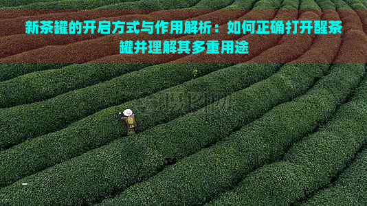 新茶罐的开启方式与作用解析：如何正确打开醒茶罐并理解其多重用途