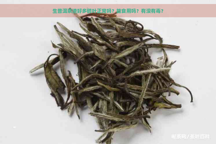 生普洱茶渣好多碎叶正常吗？能食用吗？有没有？