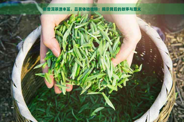 新普洱茶渣丰富，品茗体验独特：揭示背后的故事与意义