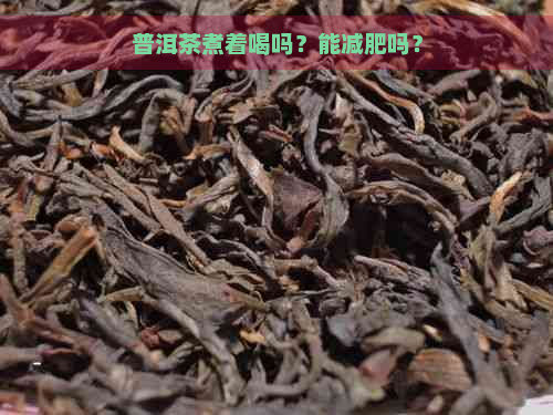 普洱茶煮着喝吗？能减肥吗？