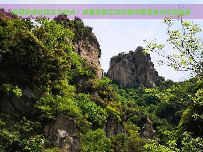 成都旅游必吃美食地点：成都旅游美食攻略与精选地点推荐指南