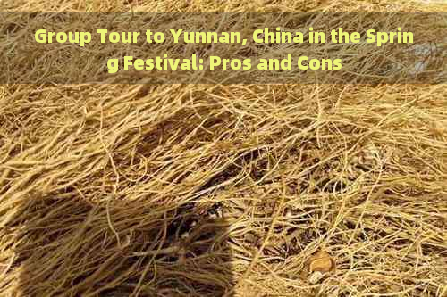 Group Tour to Yunnan, China in the Spring Festival: Pros and Cons